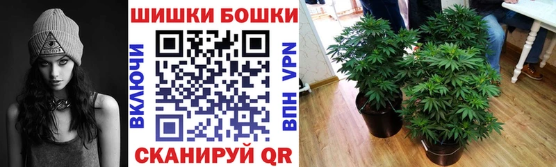 гидра как зайти  цена наркотик  Приморск  Канабис LSD WEED 